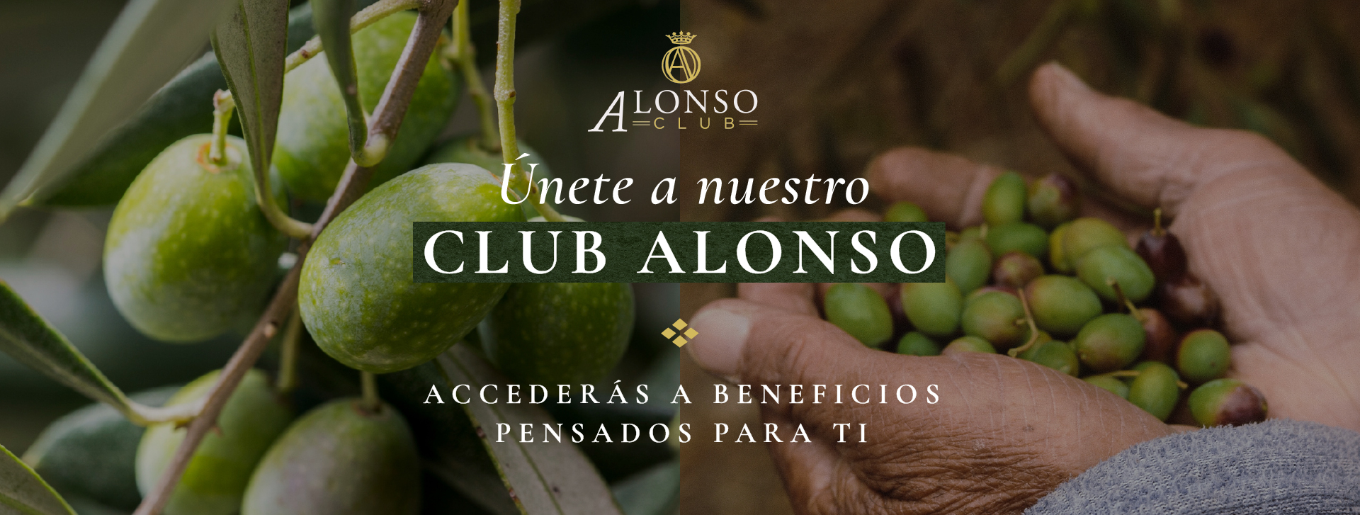 Club Alonso
